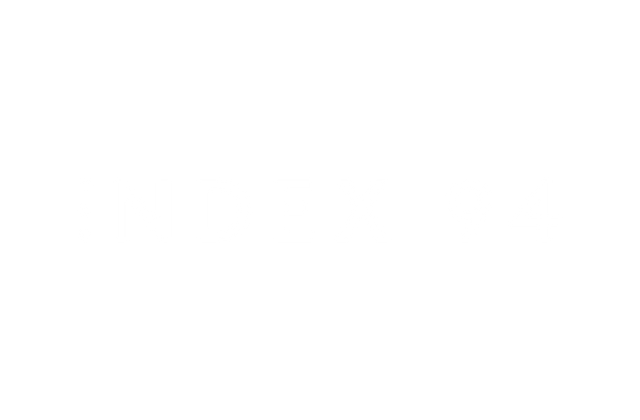 Index94 Lifestyle Solutions, Inc logo